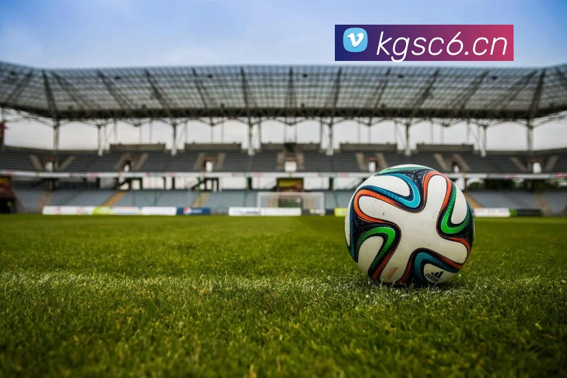 leyu乐鱼在线体育服务体系